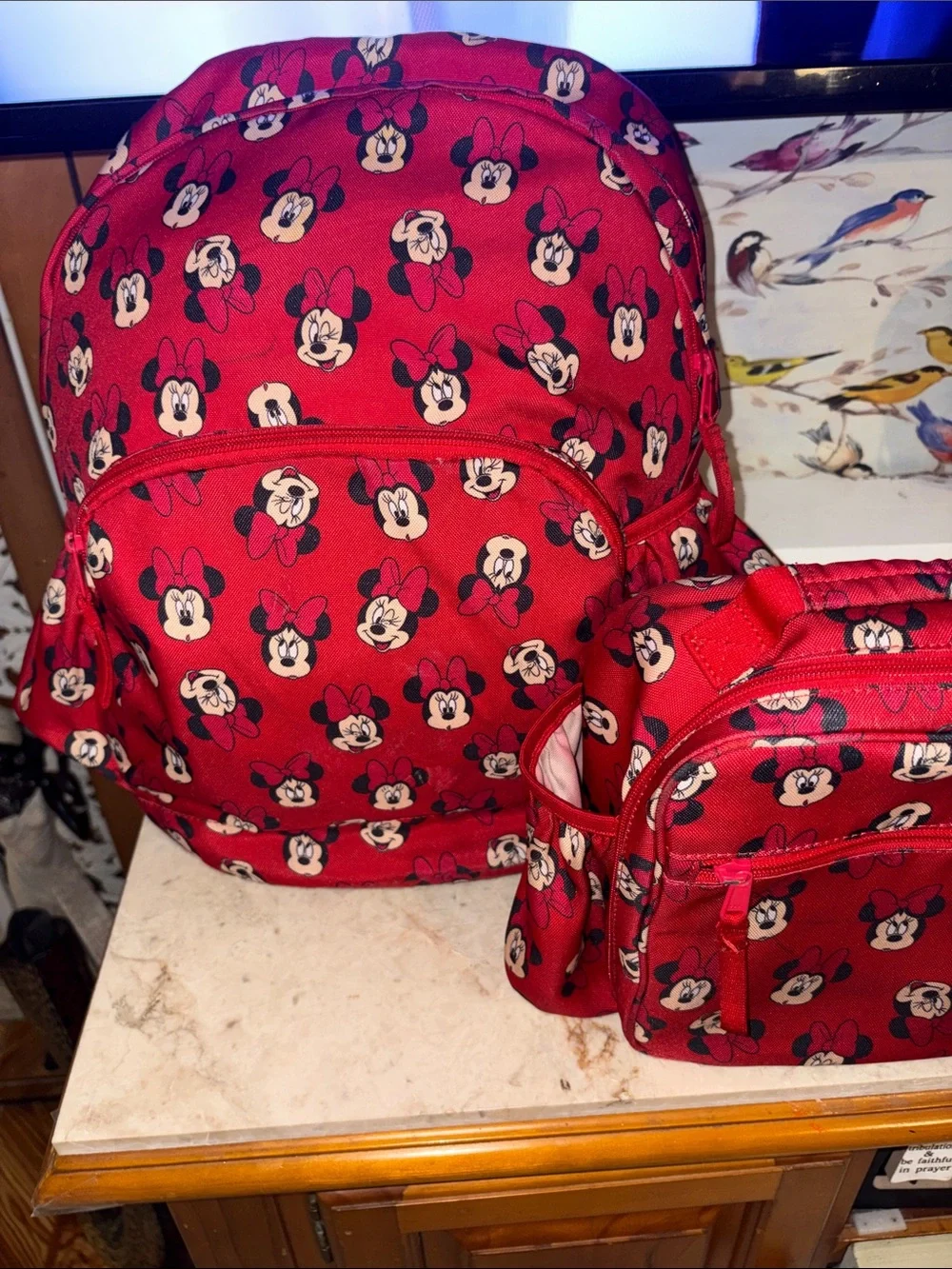 Disney Red Minnie Mouse Backpack and Matching Lunch Bag